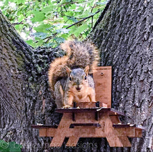Load image into Gallery viewer, Squirrel Picnic Table