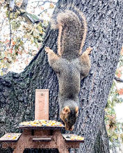 Load image into Gallery viewer, Squirrel Picnic Table