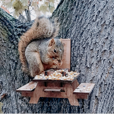 Squirrel Picnic Table